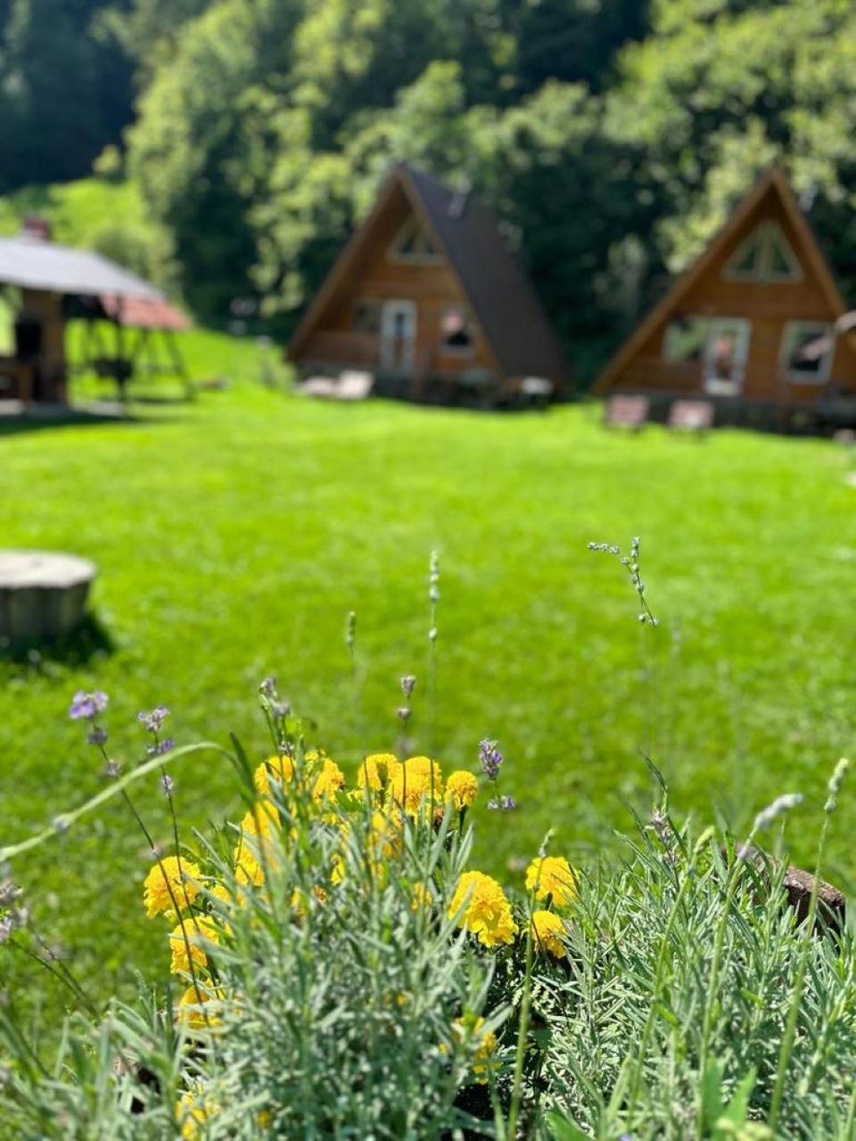 Villa Cabanutze Satic Rucăr Esterno foto