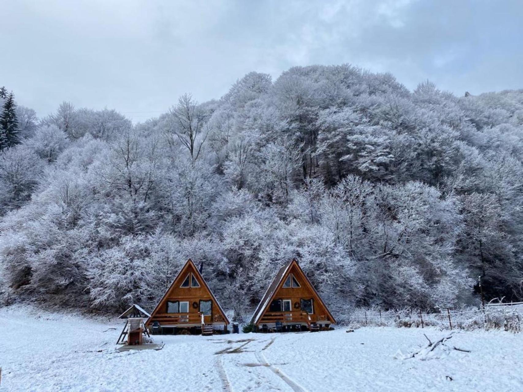Villa Cabanutze Satic Rucăr Esterno foto