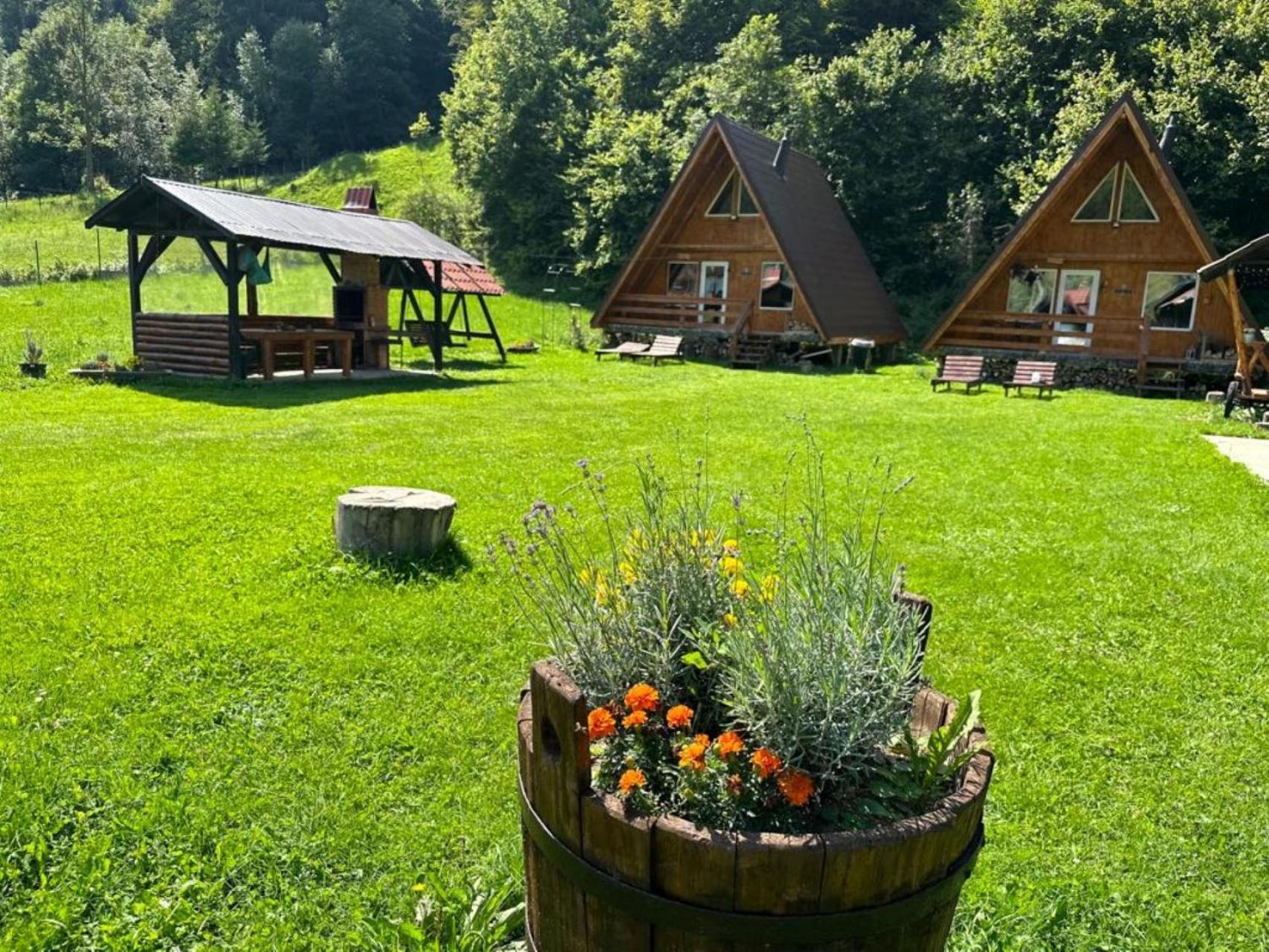 Villa Cabanutze Satic Rucăr Esterno foto
