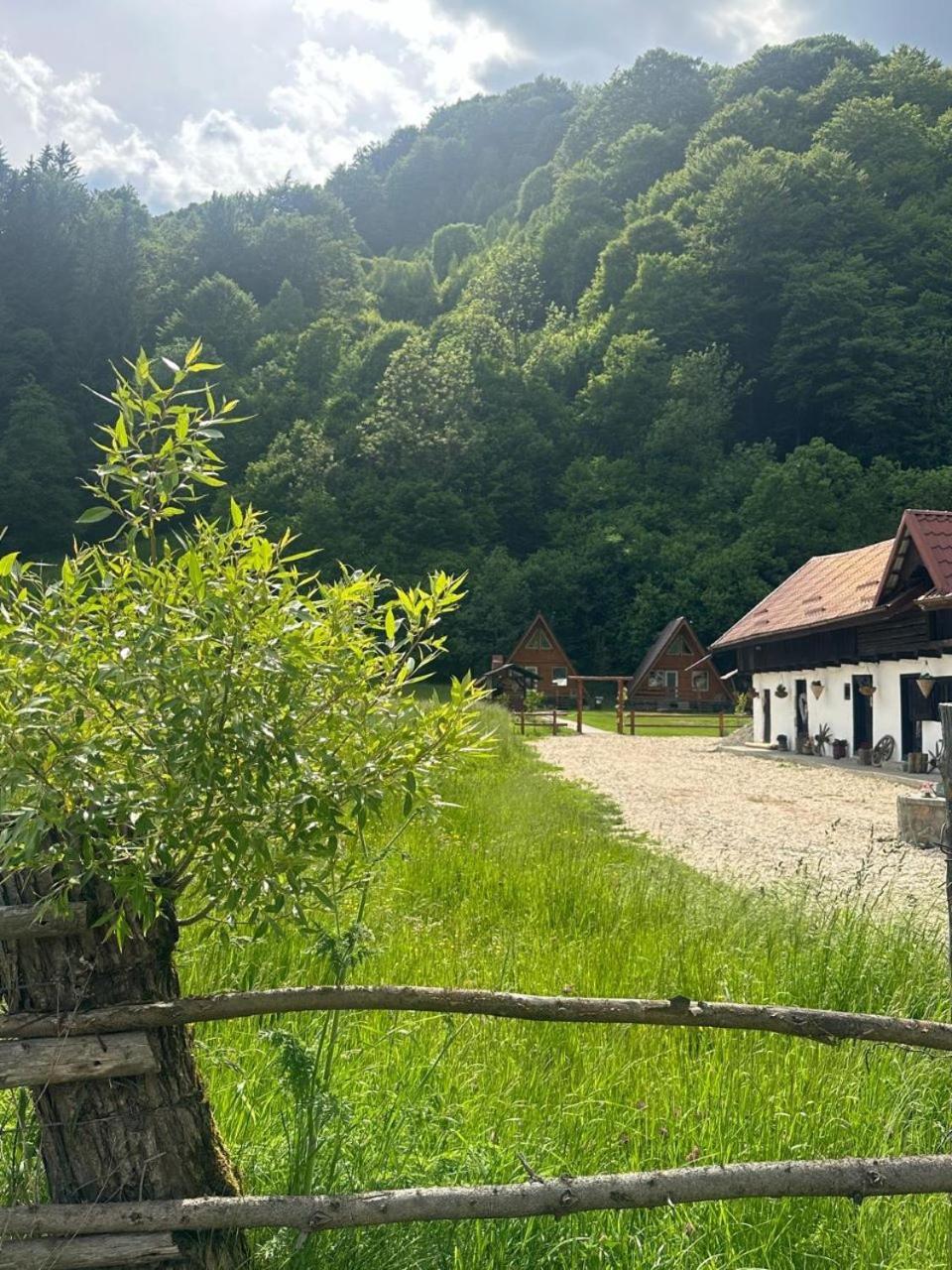 Villa Cabanutze Satic Rucăr Esterno foto