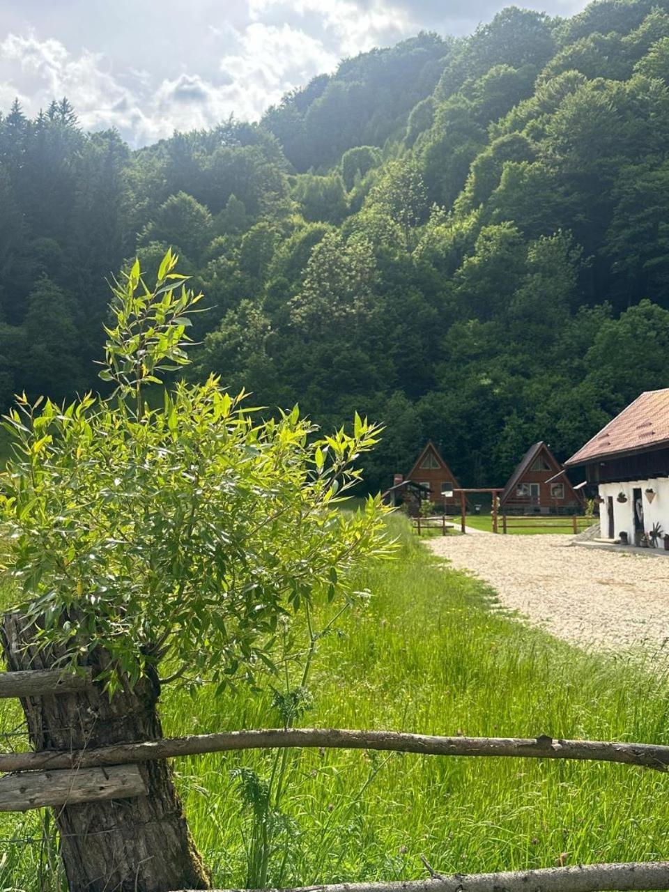 Villa Cabanutze Satic Rucăr Esterno foto