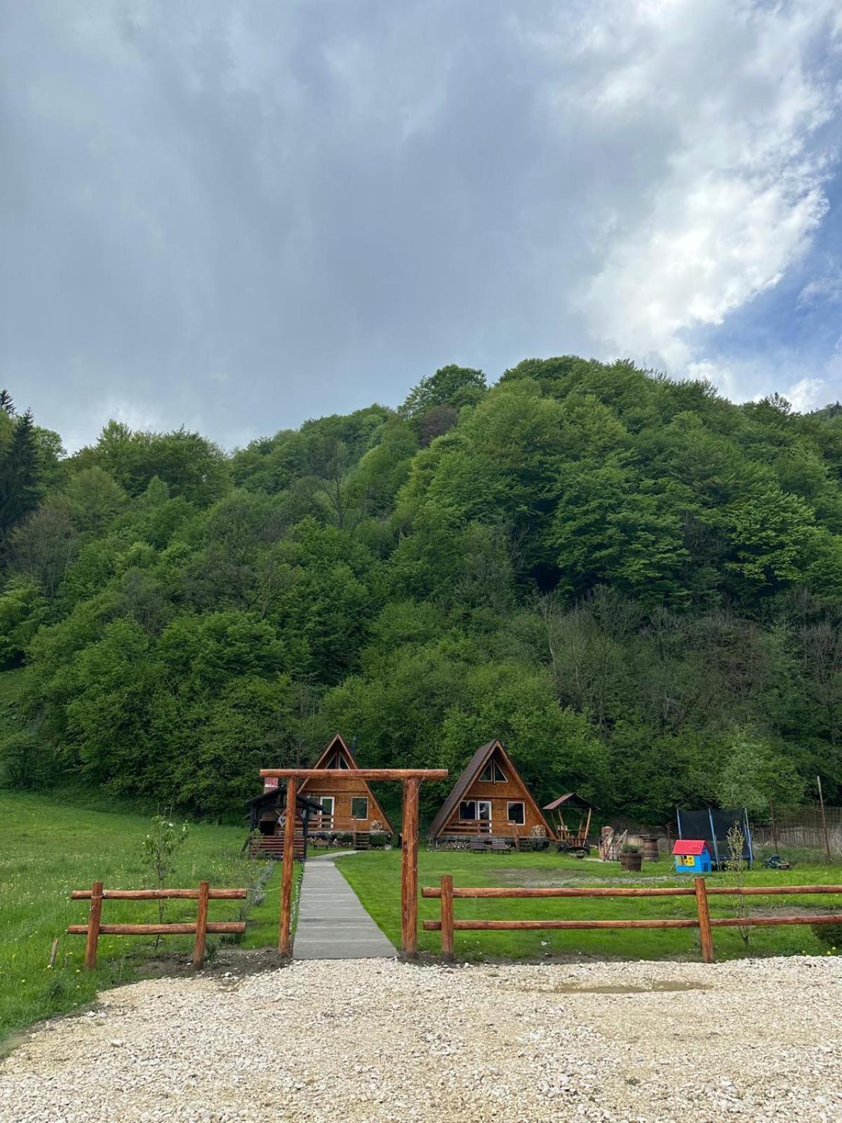 Villa Cabanutze Satic Rucăr Esterno foto