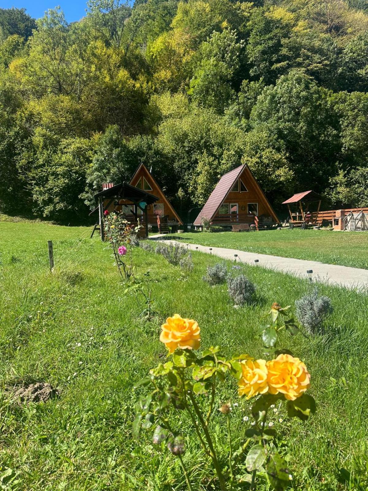 Villa Cabanutze Satic Rucăr Esterno foto